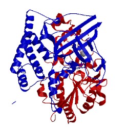 Image of CATH 1ubo