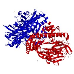 Image of CATH 1uc2