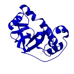 Image of CATH 1uca