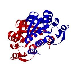 Image of CATH 1ucf