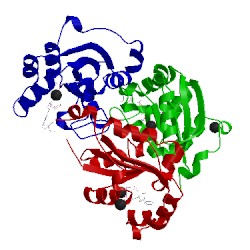 Image of CATH 1ucn