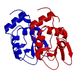 Image of CATH 1uco