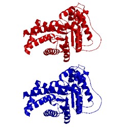 Image of CATH 1ucw