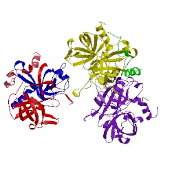 Image of CATH 1ucy