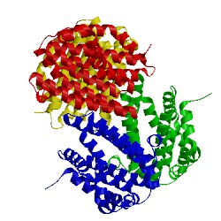 Image of CATH 1udd