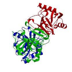 Image of CATH 1ude