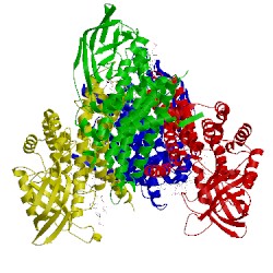 Image of CATH 1udy