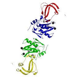 Image of CATH 1uea