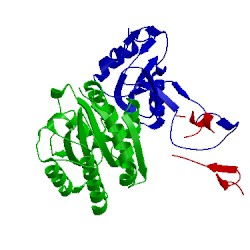 Image of CATH 1uex