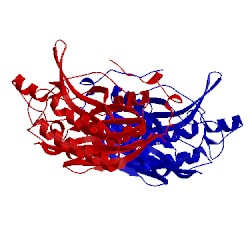 Image of CATH 1uf5