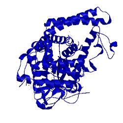 Image of CATH 1ufa