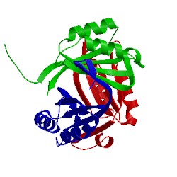 Image of CATH 1ufl