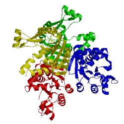 Image of CATH 1ufq