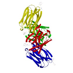 Image of CATH 1ugy