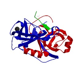 Image of CATH 1uhb