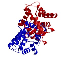 Image of CATH 1uhi