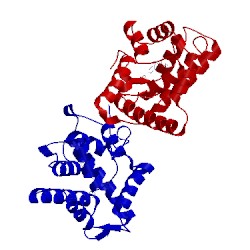 Image of CATH 1uhk