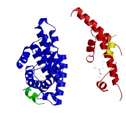 Image of CATH 1uhl