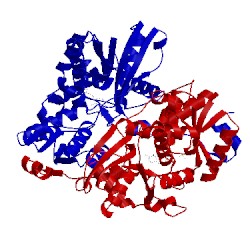Image of CATH 1uin