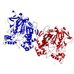 Image of CATH 1ukc