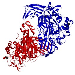 Image of CATH 1ukt