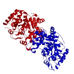 Image of CATH 1ulh