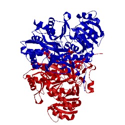 Image of CATH 1ult