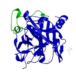 Image of CATH 1uma