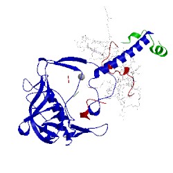 Image of CATH 1umx