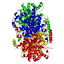 Image of CATH 1umy