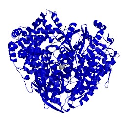 Image of CATH 1uon