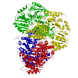 Image of CATH 1upb