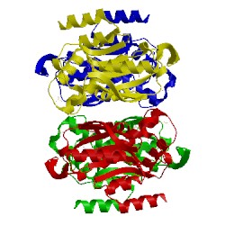 Image of CATH 1upf