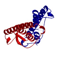 Image of CATH 1upg