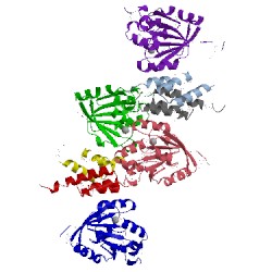 Image of CATH 1upt