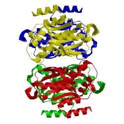 Image of CATH 1upu