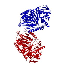 Image of CATH 1uqu
