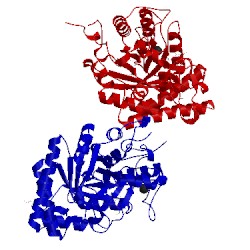 Image of CATH 1ur4