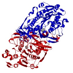 Image of CATH 1urb