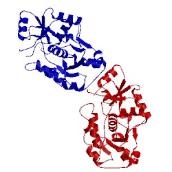 Image of CATH 1urh