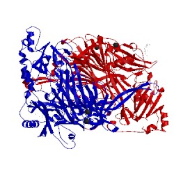 Image of CATH 1us1