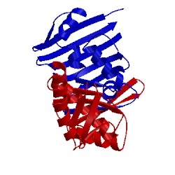 Image of CATH 1us8