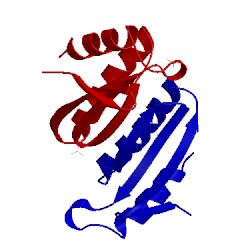 Image of CATH 1uso