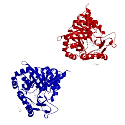 Image of CATH 1uum