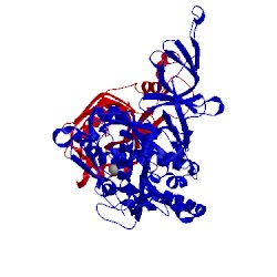 Image of CATH 1uuw