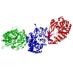 Image of CATH 1uvl