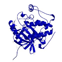 Image of CATH 1uvr
