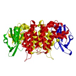 Image of CATH 1uw4