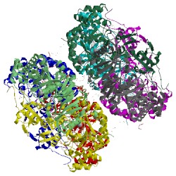 Image of CATH 1uw9