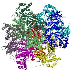 Image of CATH 1uwa